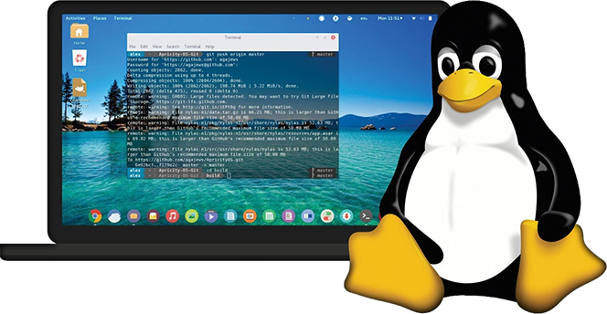 Download OyesterVPN For Linux